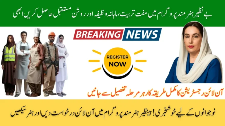 Benazir Hunarmand Program Online Apply Easy Guide
