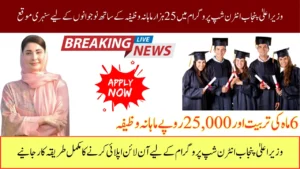 CM Punjab Internship Program 2026 Empowering Youth with Paid Training