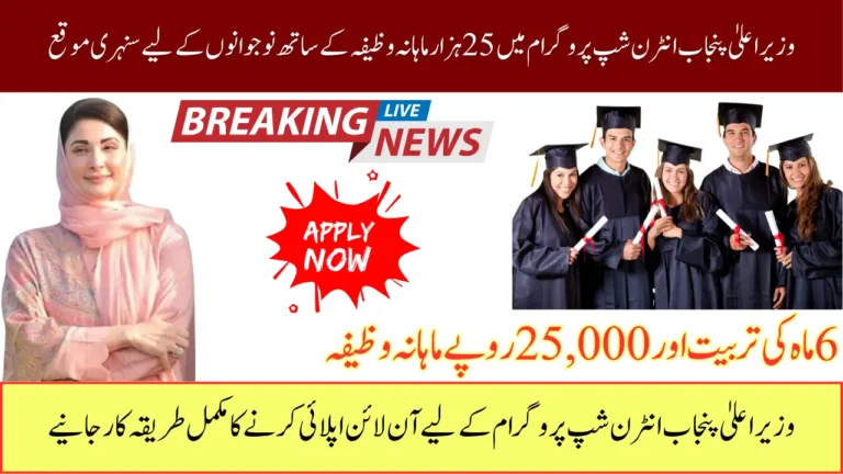 CM Punjab Internship Program 2026 Empowering Youth with Paid Training