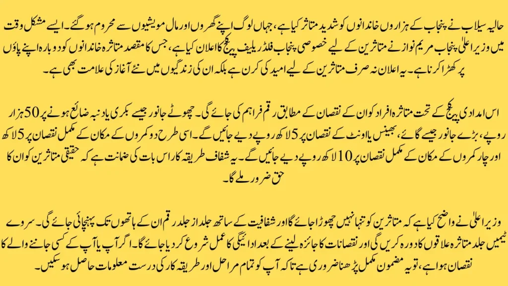 Punjab Government Announces Rs 1 Million Flood Relief for Flood-Affected Families