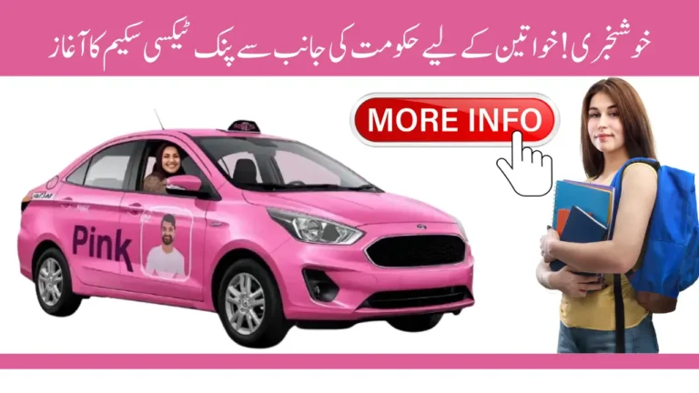 Sindh Government Lunched Pink Taxi Scheme 2025 For Women