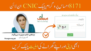 8171 Ehsaas Program CNIC Check Online – Verify Eligibility & Payment