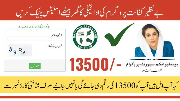 Benazir Kafalat Payment Status Check Via 8171 Web Portal
