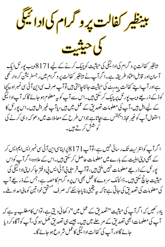 Benazir Kafalat Payment Status Check Via 8171 Web Portal