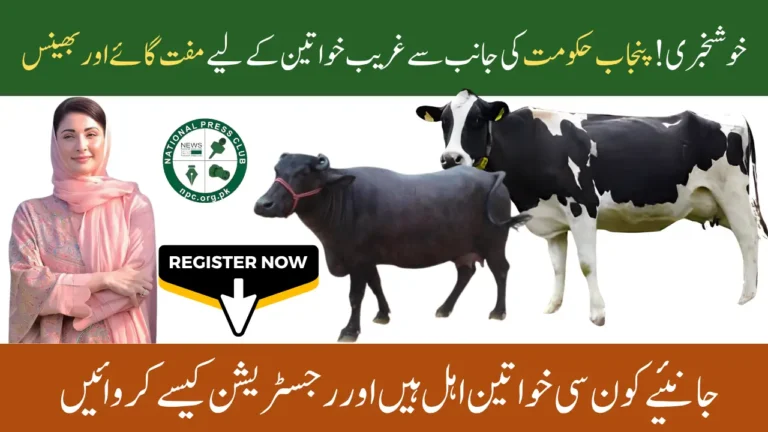 CM Punjab Free Livestock Program 2025 Registration Process